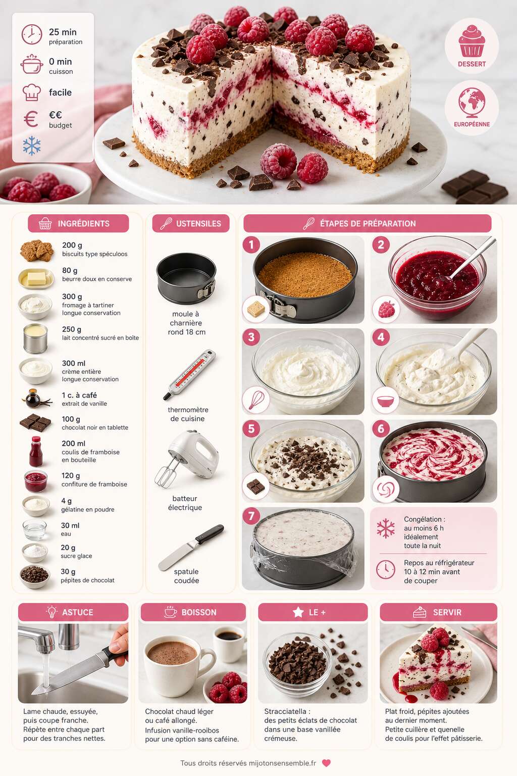 Fiche recette G&acirc;teau framboise-stracciatella glac&eacute; par Audrey : recette gourmande